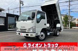 isuzu elf-truck 2019 GOO_NET_EXCHANGE_0730189A30241005W002