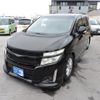 nissan elgrand 2011 GOO_JP_700054078630250308005 image 1