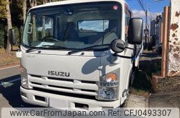 isuzu elf-truck 2011 GOO_NET_EXCHANGE_0910291A30241119W006