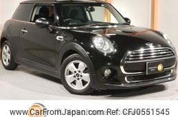 mini mini-others 2018 quick_quick_XR15_WMWXR120003C95929