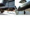 mazda bongo-truck 2020 -MAZDA--Bongo Truck DBF-SLP2T--SLP2T-118408---MAZDA--Bongo Truck DBF-SLP2T--SLP2T-118408- image 18