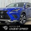 lexus nx 2017 -LEXUS--Lexus NX DBA-AGZ10--AGZ10-1015666---LEXUS--Lexus NX DBA-AGZ10--AGZ10-1015666- image 1