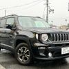 jeep renegade 2019 quick_quick_BU13_1C4BU0000KPK08062 image 1