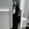 mitsubishi-fuso canter 2012 GOO_NET_EXCHANGE_1150037A30250609W001 image 6