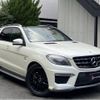 mercedes-benz m-class 2013 quick_quick_RBA-166057_WDC1660572A196144 image 1