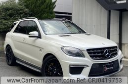 mercedes-benz m-class 2013 quick_quick_RBA-166057_WDC1660572A196144