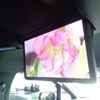 toyota alphard 2021 -TOYOTA 【盛岡 311ﾏ 512】--Alphard 6AA-AYH30W--AYH30-0120848---TOYOTA 【盛岡 311ﾏ 512】--Alphard 6AA-AYH30W--AYH30-0120848- image 14