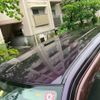suzuki wagon-r 2010 -SUZUKI--Wagon R DBA-MH23S--MH23S-323588---SUZUKI--Wagon R DBA-MH23S--MH23S-323588- image 10