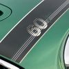 mini mini-others 2019 CFJ1553256 image 12