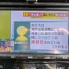 toyota prius 2018 quick_quick_DAA-ZVW51_ZVW51-6067291 image 11