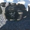 honda acty-truck 1998 CFJ1818196 image 22