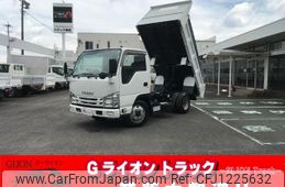 isuzu elf-truck 2019 GOO_NET_EXCHANGE_0702476A30250531W001
