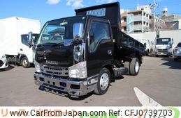 isuzu elf-truck 2010 GOO_NET_EXCHANGE_0520179A30250209W002