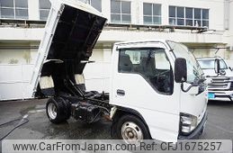 isuzu elf-truck 2006 CFJ1675257
