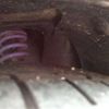 nissan fairlady-z 1974 -NISSAN 【福島 301ﾃ7854】--Fairlady Z S30--S30109801---NISSAN 【福島 301ﾃ7854】--Fairlady Z S30--S30109801- image 5