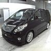 toyota alphard 2012 -TOYOTA--Alphard ANH20W-8234412---TOYOTA--Alphard ANH20W-8234412- image 5