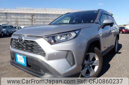 toyota rav4 2019 N2024100387F-10