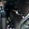 toyota spade 2013 -TOYOTA--Spade DBA-NCP141--NCP141-9054755---TOYOTA--Spade DBA-NCP141--NCP141-9054755- image 9