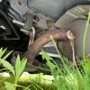 toyota vitz 2016 -TOYOTA--Vitz DBA-NSP135--NSP135-2058958---TOYOTA--Vitz DBA-NSP135--NSP135-2058958- image 9