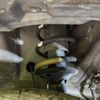 suzuki wagon-r 2014 -SUZUKI--Wagon R DBA-MH34S--MH34S-366218---SUZUKI--Wagon R DBA-MH34S--MH34S-366218- image 20