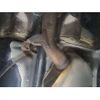 audi a5 2011 CFJ1744504 image 6