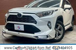 toyota rav4 2019 CFJ1404905