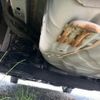 nissan note 2018 -NISSAN--Note DAA-HE12--HE12-159728---NISSAN--Note DAA-HE12--HE12-159728- image 24