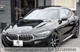 bmw 8-series 2019 CFJ1859040