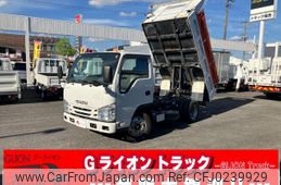 isuzu elf-truck 2018 GOO_NET_EXCHANGE_0702476A30240921W002