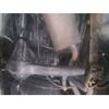 toyota land-cruiser 1991 CFJ1715262 image 14