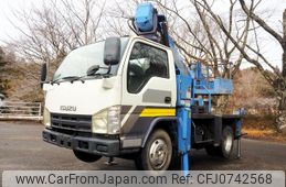 isuzu elf-truck 2009 GOO_NET_EXCHANGE_0403477A30250210W002