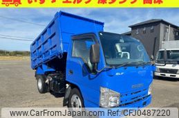 isuzu elf-truck 2008 CFJ0487220