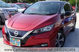 nissan leaf 2019 -NISSAN 【岐阜 347】--Leaf ZE1--ZE1-065509---NISSAN 【岐阜 347】--Leaf ZE1--ZE1-065509-