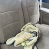 honda odyssey 2005 -HONDA--Odyssey DBA-RB1--RB1-3121501---HONDA--Odyssey DBA-RB1--RB1-3121501- image 10
