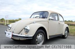 volkswagen-the-beetle-1974-14420-car_7d519c46-838c-46d6-adec-7f5579177ac4