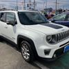 jeep renegade 2019 CFJ1809848 image 3