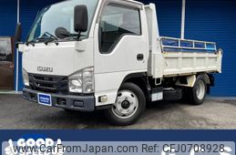 isuzu elf-truck 2019 GOO_NET_EXCHANGE_0708560A30250131W002