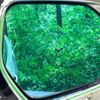 toyota prius-phv 2017 quick_quick_ZVW52_ZVW52-3047939 image 5