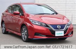 nissan leaf 2019 CFJ1721617