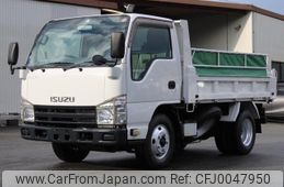 isuzu elf-truck 2010 GOO_NET_EXCHANGE_0230013A30240726W001