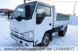 isuzu elf-truck 2011 GOO_NET_EXCHANGE_0300824A30250111W001