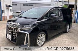 toyota alphard 2019 -TOYOTA 【和泉 333ﾂ 809】--Alphard AGH30W--AGH30-0238284---TOYOTA 【和泉 333ﾂ 809】--Alphard AGH30W--AGH30-0238284-