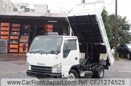 isuzu elf-truck 2010 25630604