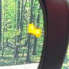 daihatsu rocky 2019 quick_quick_A200S_A200S-0003826 image 7