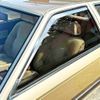 toyota soarer 1981 -TOYOTA 【千葉 31Xﾂ 11】--Soarer E-MZ11--MZ11-015056---TOYOTA 【千葉 31Xﾂ 11】--Soarer E-MZ11--MZ11-015056- image 17