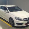 mercedes-benz a-class 2013 quick_quick_DBA-176044_WDD1760442J116942 image 1