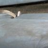 mitsubishi-fuso canter 2015 -MITSUBISHI--Canter TKG-FEB80--FEB80-***397---MITSUBISHI--Canter TKG-FEB80--FEB80-***397- image 17