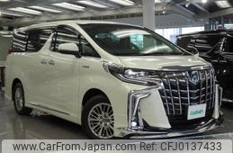 toyota alphard 2019 -TOYOTA--Alphard DAA-AYH30W--AYH30-0095196---TOYOTA--Alphard DAA-AYH30W--AYH30-0095196-