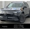 mercedes-benz mercedes-benz-others 2022 -MERCEDES-BENZ--Benz EQB ZAA-243601C--W1N2436012N010342---MERCEDES-BENZ--Benz EQB ZAA-243601C--W1N2436012N010342- image 10