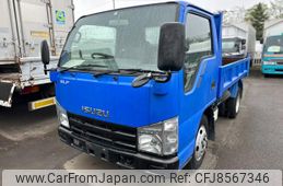 isuzu elf-truck 2007 GOO_NET_EXCHANGE_0303355A30230510W001